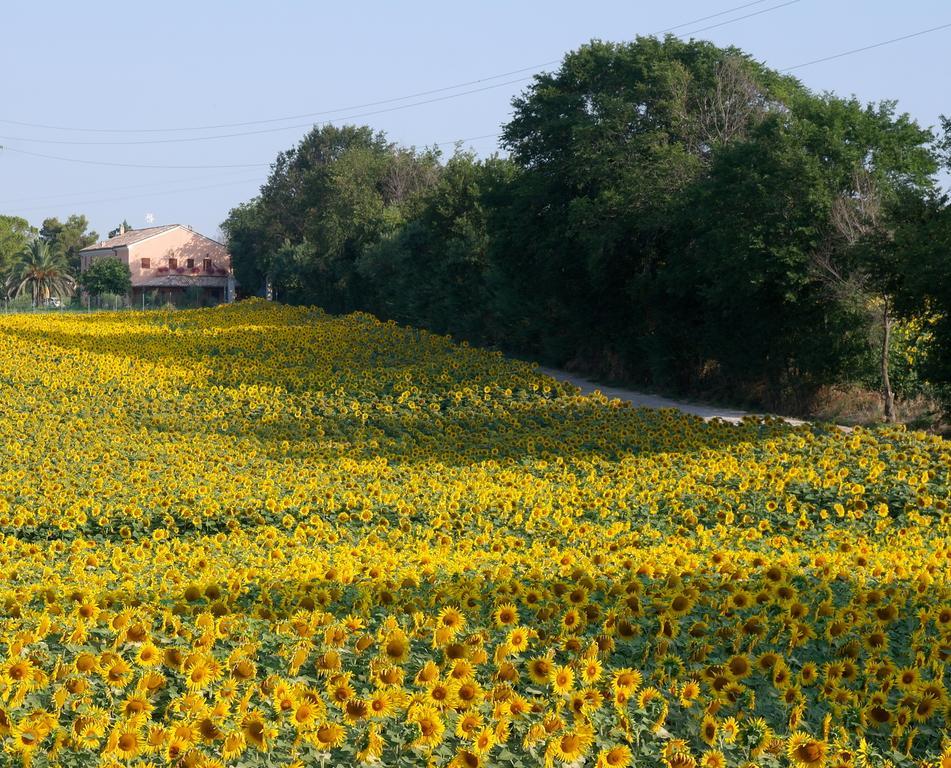 Bed and Breakfast Fontebella Montemarciano Exteriér fotografie